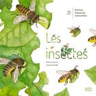 Couverture du livre « 21 petites histoires naturelles : les insectes » de Capucine Mazille et Claire Lecoeuvre aux éditions Ricochet