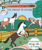 Couverture du livre « Chevaux et poneys coloriage » de Elisabeth Morais aux éditions Piccolia