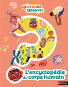 Couverture du livre « QUESTIONS REPONSES 7+ ; l'encyclopédie du corps humain » de Dan Crisp et Lewis Arran et Emily Dood aux éditions Nathan