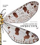 Couverture du livre « La face cachée des insectes » de Clara Corman aux éditions Amaterra