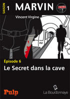 Couverture du livre « Marvin t.1.6 ; le secret dans la cave » de Vincent Virgine aux éditions La Bourdonnaye
