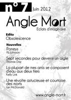 Couverture du livre « Revue Angle Mort T.7 » de Revue Angle Mort aux éditions Angle Mort