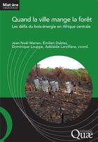 Couverture du livre « Quand la ville mange la forêt ; les défis du bois-énergie en Afrique centrale » de Jean-Noel Marien et Emilien Dubiez et Dominique Louppe aux éditions Quae