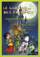 Couverture du livre « Le château des fantômes : Les jumeaux de Pompéi » de Sophie Marvaud et Celine Papazian aux éditions Adabam