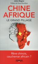 Couverture du livre « Chine Afrique ; le grand pillage » de Julien Wagner aux éditions Eyrolles