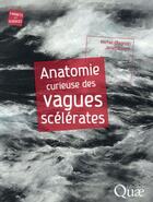 Couverture du livre « Anatomie curieuse des vagues scélérates » de Michel Olagnon et Janette Kerr aux éditions Quae