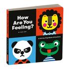 Couverture du livre « How are you feeling board book » de Erin Jang aux éditions Galison