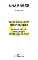 Couverture du livre « Trois linguistes (trop) oubliés ; Antoine Meillet, Sylvain Lévi, Ferdinand Brunot » de  aux éditions L'harmattan