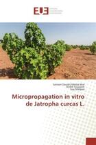 Couverture du livre « Micropropagation in vitro de Jatropha curcas L. » de Mve, , Samson aux éditions Editions Universitaires Europeennes