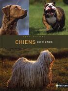 Couverture du livre « Chiens du monde » de Joan Palmer aux éditions Nathan