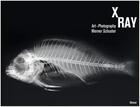 Couverture du livre « X-ray art photography werner schuster » de Schuster Werner aux éditions Hirmer