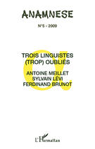 Couverture du livre « Trois linguistes (trop) oubliés ; Antoine Meillet, Sylvain Lévi, Ferdinand Brunot » de  aux éditions Editions L'harmattan