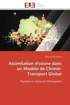 Couverture du livre « Assimilation d'ozone dans un modele de chimie-transport global - physique et chimie de l'atmosphere » de Cathala Marie-Laure aux éditions Editions Universitaires Europeennes