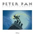 Couverture du livre « Peter Pan » de Pierre Lambert aux éditions Huginn & Muninn