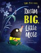 Couverture du livre « DREAM BIG, LITTLE MOLE » de Tom Percival aux éditions Bloomsbury