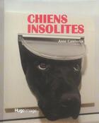 Couverture du livre « Chiens insolites » de Camberlin Anne aux éditions Hugo Image