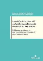 Couverture du livre « Les défis de la diversité culturelle dans le monde du travail au XXIe siècle : Politiques, pratiques et représentations en Europe et dans les Amériques... » de Le Moing/Ouaked aux éditions P.i.e. Peter Lang