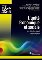 Couverture du livre « L'unite economique et sociale - un perimetre social de l'entreprise » de Antonmattei/Derue aux éditions Wolters Kluwer