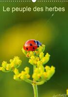 Couverture du livre « Photos d insectes calendrier m » de Lionel Marcu aux éditions Calvendo