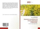 Couverture du livre « Gommes exsudatives de Cassia petersiana (FABACEAE) : Source d'arabinogalactanes » de Benjamin Petera aux éditions Editions Universitaires Europeennes