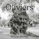 Couverture du livre « Oliviers ; Jacques Berthet » de Jacques Berthet aux éditions Silvana