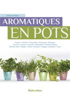 Couverture du livre « Aromatiques en pots » de Noemie Vialard aux éditions Rustica