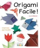 Couverture du livre « Origami facile ! » de Alice Hornecke aux éditions De Saxe
