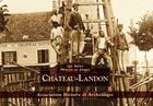 Couverture du livre « Château-Landon » de  aux éditions Editions Sutton