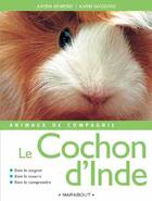Couverture du livre « Animaux De Compagnie : Les Cochons D'Inde » de Katrin Behrend aux éditions Marabout