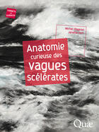 Couverture du livre « Anatomie curieuse des vagues scélérates » de Michel Olagnon aux éditions Quae