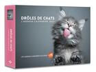 Couverture du livre « L'agenda : calendrier drôles de chats (édition 2022) » de  aux éditions Hugo Image