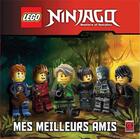 Couverture du livre « Lego ninjago amis pour la vie t02 » de  aux éditions Carabas