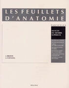 Couverture du livre « Les feuillets d'anatomie t.4 ; muscles du membre supérieur » de J Brizon et J Castaing aux éditions Maloine