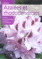 Couverture du livre « Azalees et rhododendrons » de D Beretta aux éditions De Vecchi
