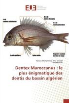 Couverture du livre « Dentex Maroccanus : le plus énigmatique des dentis du bassin algérien » de Hamza Mohammed Anis Mendil aux éditions Editions Universitaires Europeennes