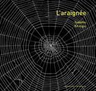 Couverture du livre « L'araignée » de Susumu Shingu aux éditions Gallimard Jeunesse Giboulees