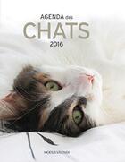 Couverture du livre « Agenda des chats (2016) » de  aux éditions Modus Vivendi