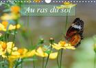 Couverture du livre « Au ras du sol calendrier mural 2018 din a4 horizontal - macrophotographies d insectes » de Gaymard A aux éditions Calvendo