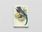 Couverture du livre « Carnet notes & lecture : oiseaux de Nouvelle-Guinée » de John Gould aux éditions Reliefs Editions