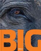 Couverture du livre « Big a photographic album of the world's largest animals » de Amos Nachoum et Marko Dimitrijevic aux éditions Teneues Verlag