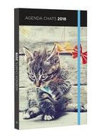 Couverture du livre « Agenda chats (édition 2018) » de  aux éditions Hugo Image