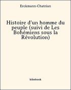 Couverture du livre « Histoire d'un homme du peuple » de Erckmann-Chatrian aux éditions Bibebook