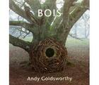 Couverture du livre « Bois » de Andy Goldsworthy aux éditions Anthese