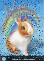 Couverture du livre « Les lapins magiques t.5 ; une pincée de magie » de Sue Bentley aux éditions Pocket Jeunesse