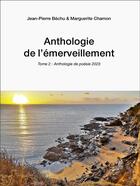 Couverture du livre « Anthologie de l'émerveillement : Tome 2 » de Jean-Pierre Bechu et Marguerite Chamon aux éditions Editions Du Net