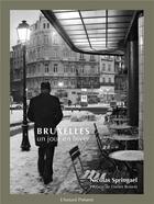 Couverture du livre « Bruxelles, un jour en hiver » de Nicolas Springael aux éditions Husson