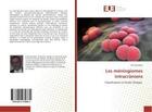 Couverture du livre « Les meningiomes intracraniens » de Boublata Lotfi aux éditions Editions Universitaires Europeennes