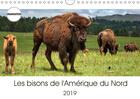 Couverture du livre « Le bison est le plus grand mam » de Wilczek Dieter aux éditions Calvendo