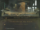 Couverture du livre « Industrie du bois ; l'épreuve du regard » de Didier Arnaudet et Bruno Lasnier aux éditions Atelier Des Brisants