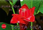 Couverture du livre « ¡Pura Vida! au Costa Rica (Calendrier mural 2020 DIN A4 horizontal) ; Costa Rica - un pays merveilleux avec une nature magnifique (Calendrier anniversaire, 14 Pages ) » de Andreas Schoen aux éditions Calvendo